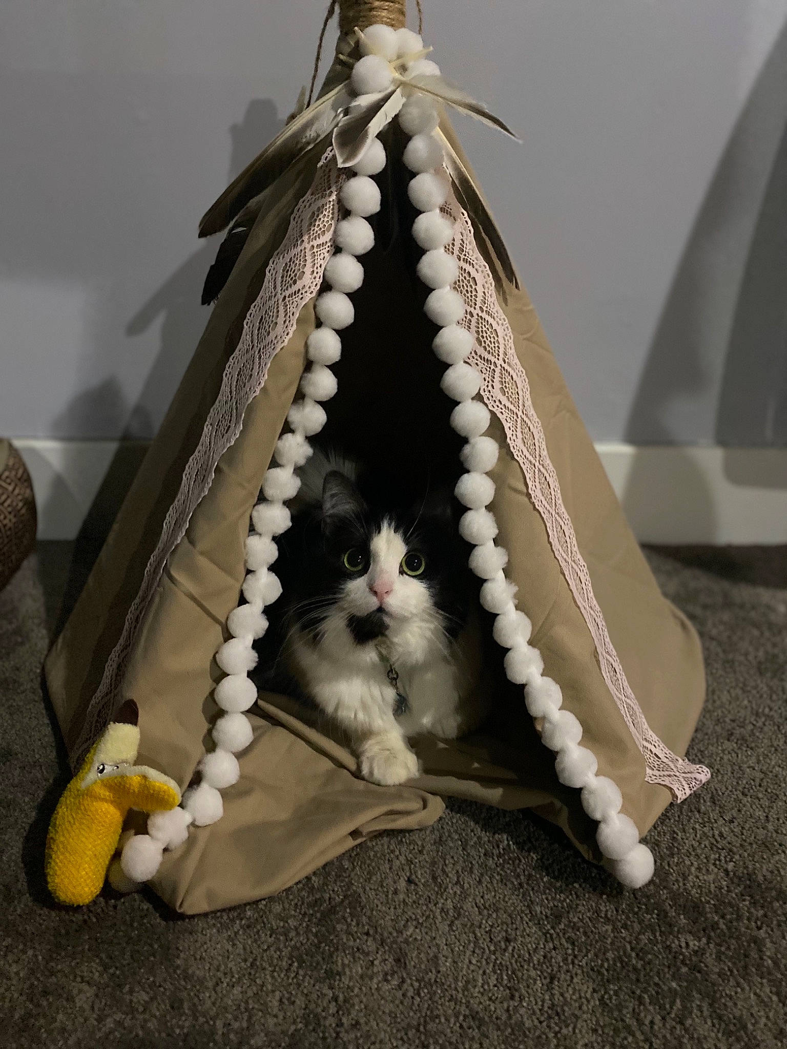 Desi is registered to the contest to win money with this photo: carmine, earrings, eyewear, fashion_accessory, fashion_design, fur, idiophone, jaw, jewellery, metal, natural_material, ornament, oval, room, still_life_photography, triangle, wood