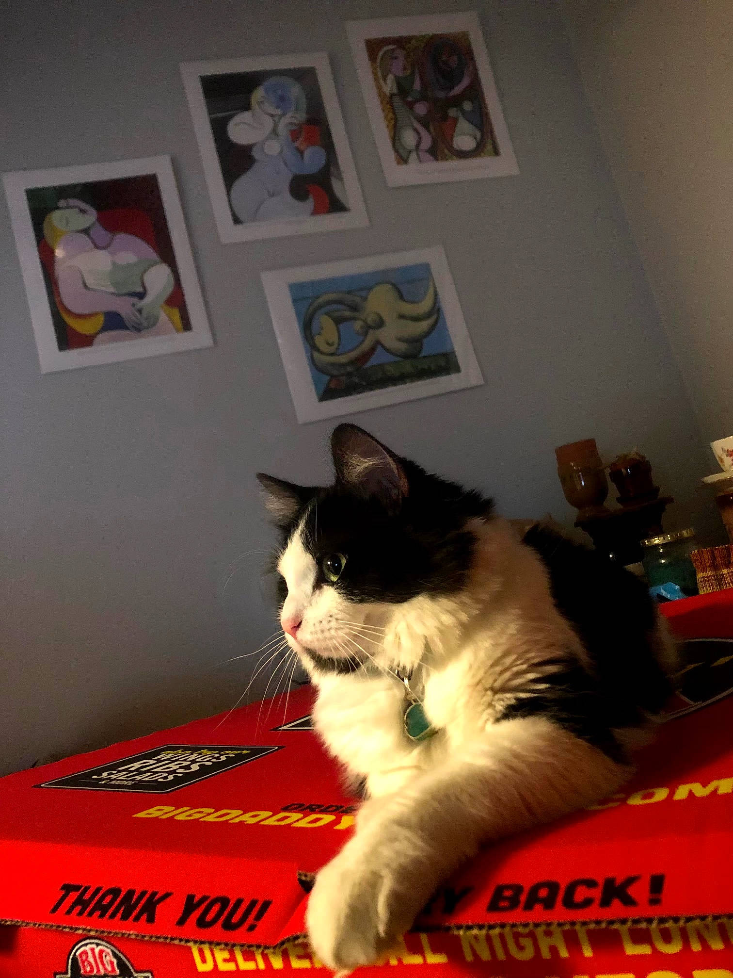 Desi joined the competition — help win amazing prizes! advertising, bedding, box, carnivore, cat, cat_supply, comfort, domestic_short_haired_cat, felidae, flooring, font, fur, linens, photo_caption, picture_frame, room, small_to_medium_sized_cats, tail, whiskers