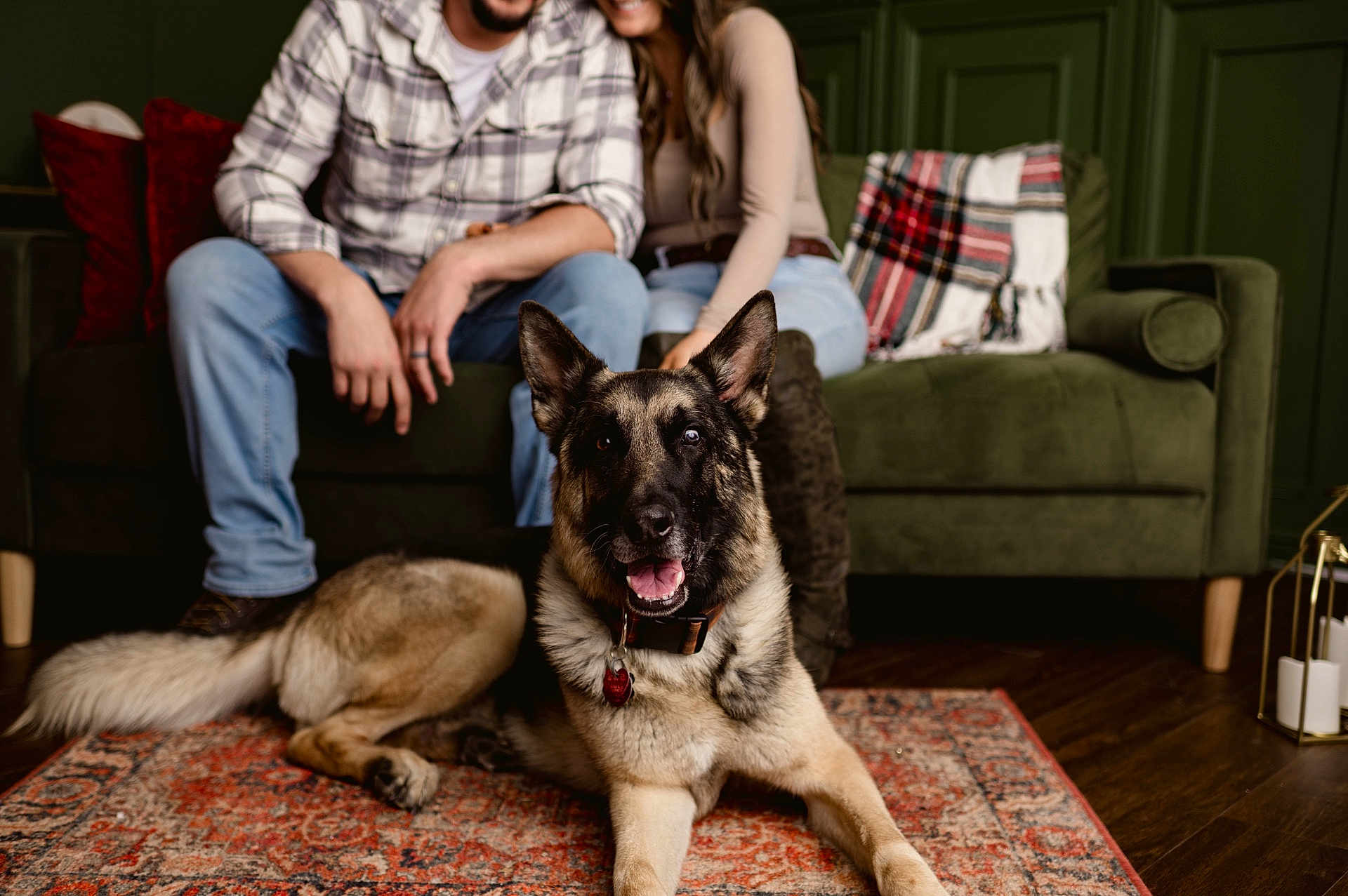 Loki joined the competition — help win amazing prizes! animal, blanket, boots, carpet, casual_clothing, collar, couch, couple, dog, german_shepherd, green_wall, home_decor, indoor, jeans, living_room, person, pet, plaid_shirt, smiling, wood_floor