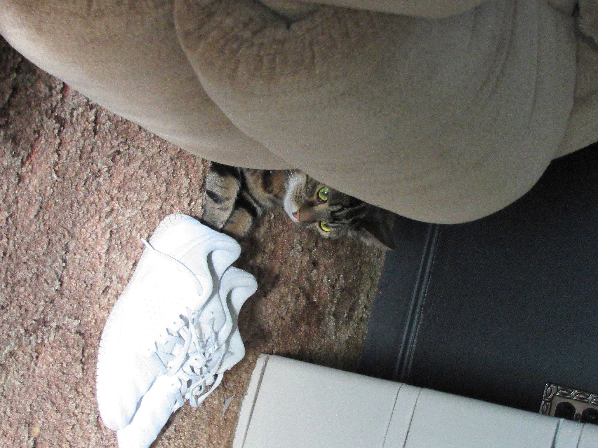 Corabell is registered to the contest to win money with this photo: room, shoe