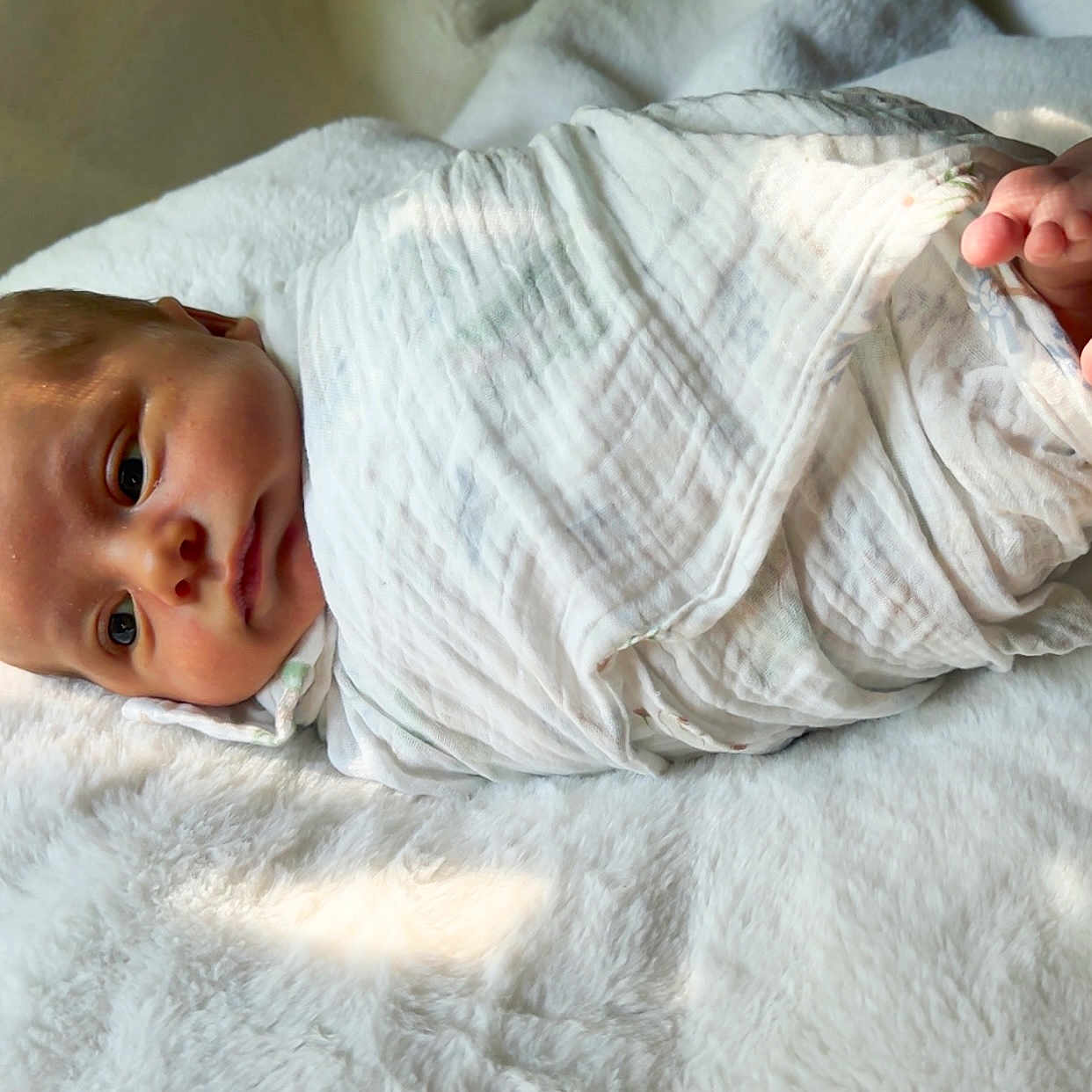 Jonah is registered to the contest to win money with this photo: newborn, baby, infant, wrapped, blanket, white, soft, fluffy, lying_down, cute, peaceful, skin, toes, face, portrait, indoors, natural_light, sleepy, swaddled, child