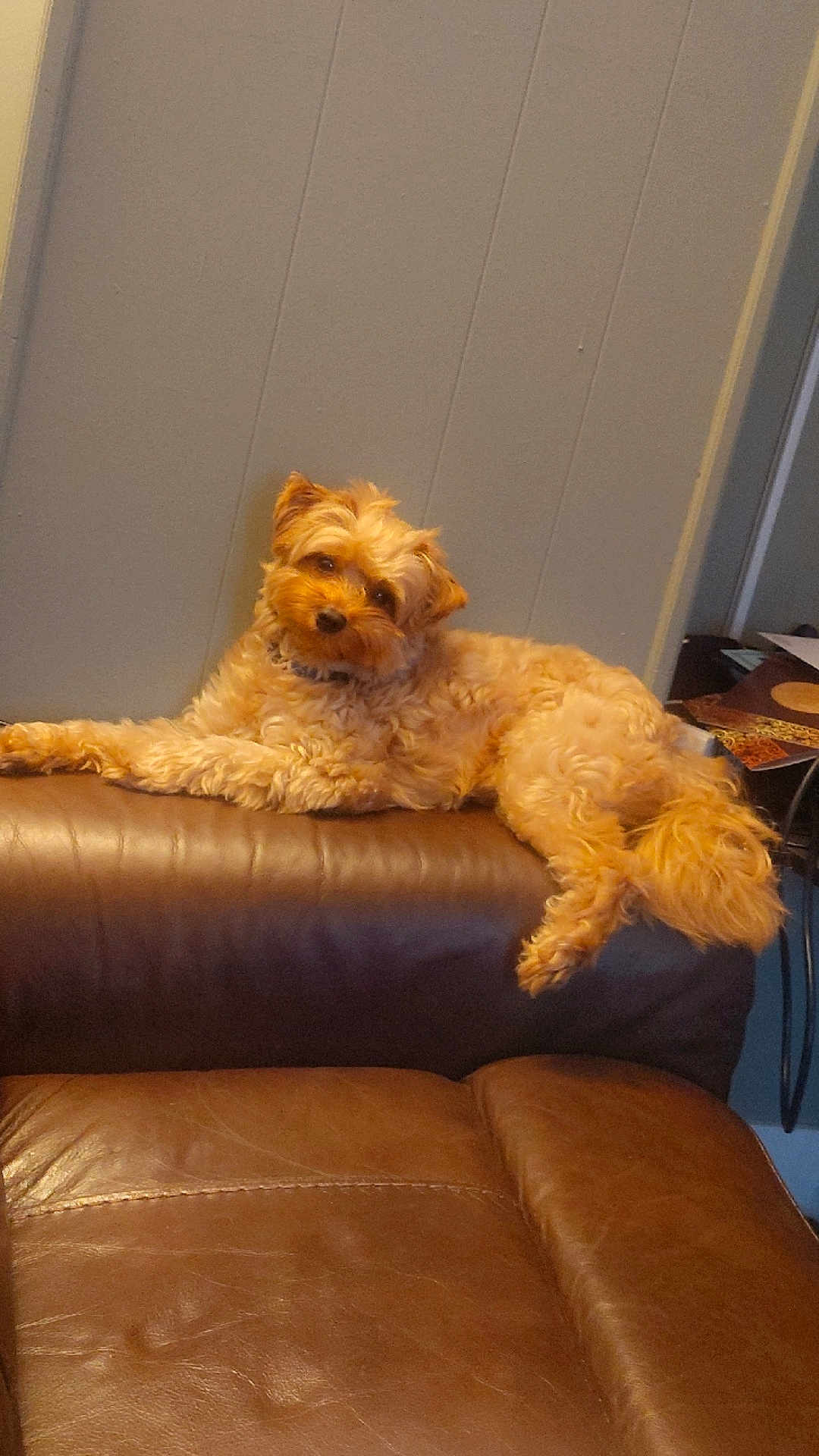 Eddie