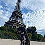 Floki a rejoint le concours — aidez-le/la à gagner de superbes lots ! dog, eiffel_tower, outdoor, sky, clouds, leash, black_dog, white_chest, trees, people, walking, landmark, tourist_spot, daytime, park, metal_structure, grass, scenic, summer, nature