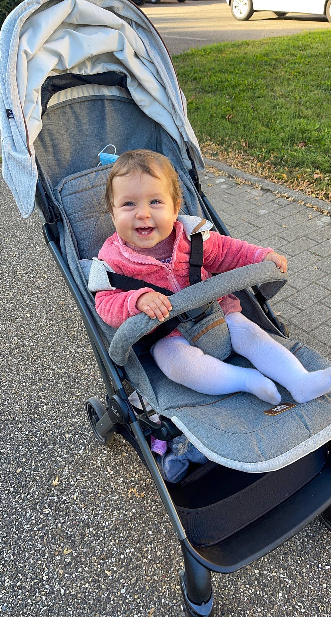 Léa participe au concours pour gagner de l'argent avec cette photo : baby, baby_carriage, baby_products, comfort, eye, fun, grass, happy, head, human_body, joy, lap, leg, leisure, people_in_nature, person, product, recreation, smile, sneakers