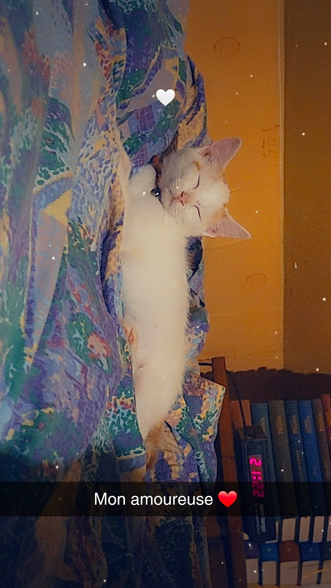 Popcorn participe au concours pour gagner de l'argent avec cette photo : art, ceiling, cg_artwork, darkness, event, felidae, fictional_character, fur, graphics, illustration, mythology, organism, painting, pattern, room, small_to_medium_sized_cats, space, tail, visual_arts, whiskers