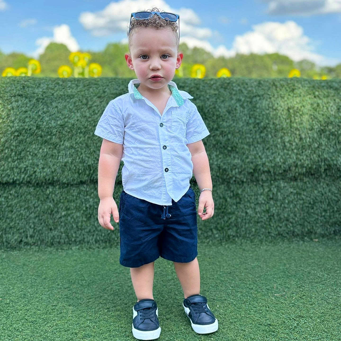 Jose Antonio is registered to the contest to win money with this photo: child, toddler, boy, portrait, outdoor, sunny, sky, clouds, sunflowers, hedge, grass, standing, sunglasses, shirt, shorts, sneakers, fashion, playground, daylight, smiling