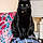 Binx Brown