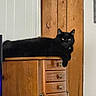 cat, black_cat, pet, feline, animal, lounging, sitting, wooden_cabinet, drawers, furniture, indoors, home, wood_paneling, black_fur, green_eyes, white_chest_patch, hanging_paw, portrait, relaxed, adorable