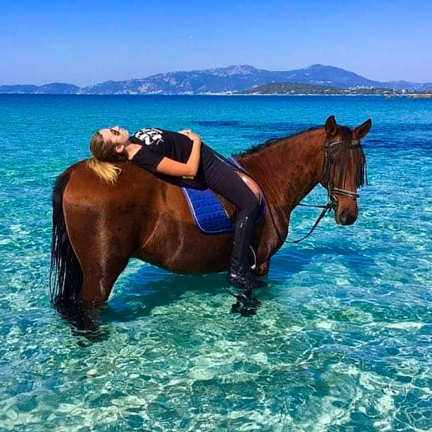Soñado participe au concours pour gagner de l'argent avec cette photo : azure, bridle, equestrianism, fun, horse, horse_tack, landscape, leisure, mane, mare, mustang_horse, recreation, rein, saddle, sea, sky, sorrel, stallion, trail_riding, vacation