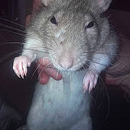 Mimie participe au concours pour gagner de l'argent avec cette photo :