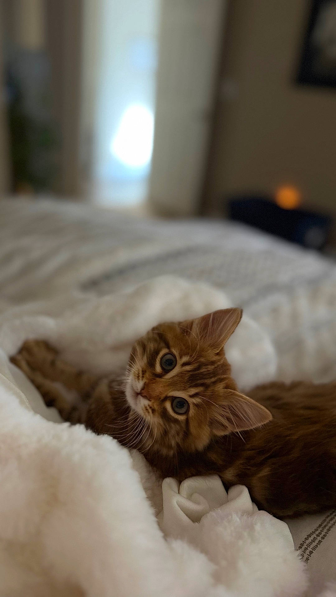 Benji