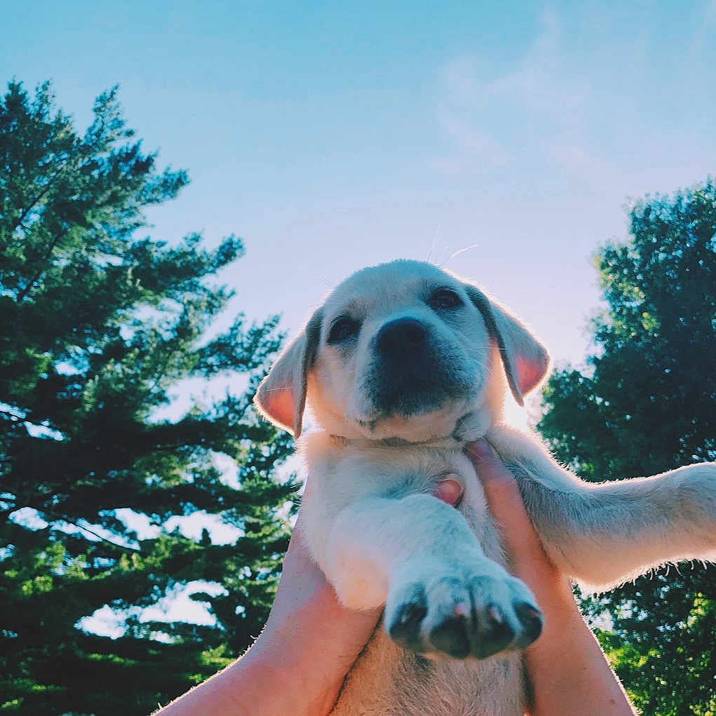 Winnie