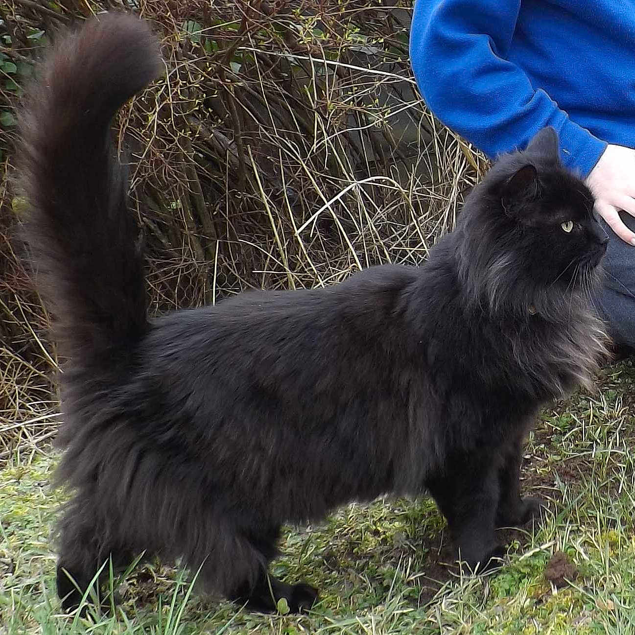 Sooty joined the competition — help win amazing prizes!