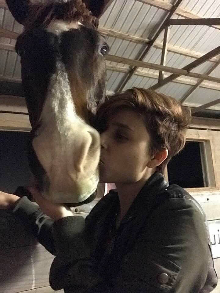 Others is registered to the contest to win money with this photo: dairy, ear, horse, horse_grooming, livestock, mane, neck, photography, snout, stallion