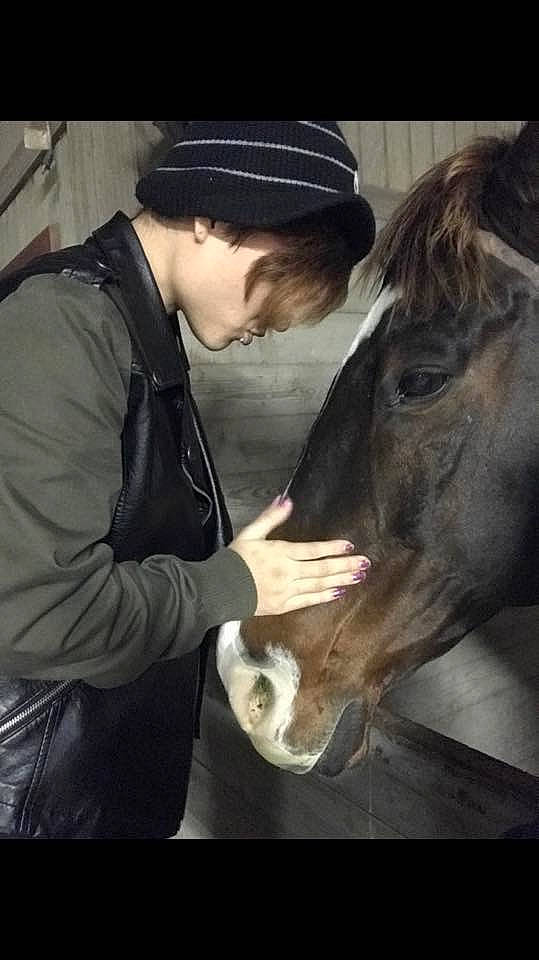 Others is registered to the contest to win money with this photo: bridle, ear, farrier, horse, horse_grooming, horse_supplies, horse_trainer, jaw, livestock, mane, photography, riding_instructor, snout, stallion