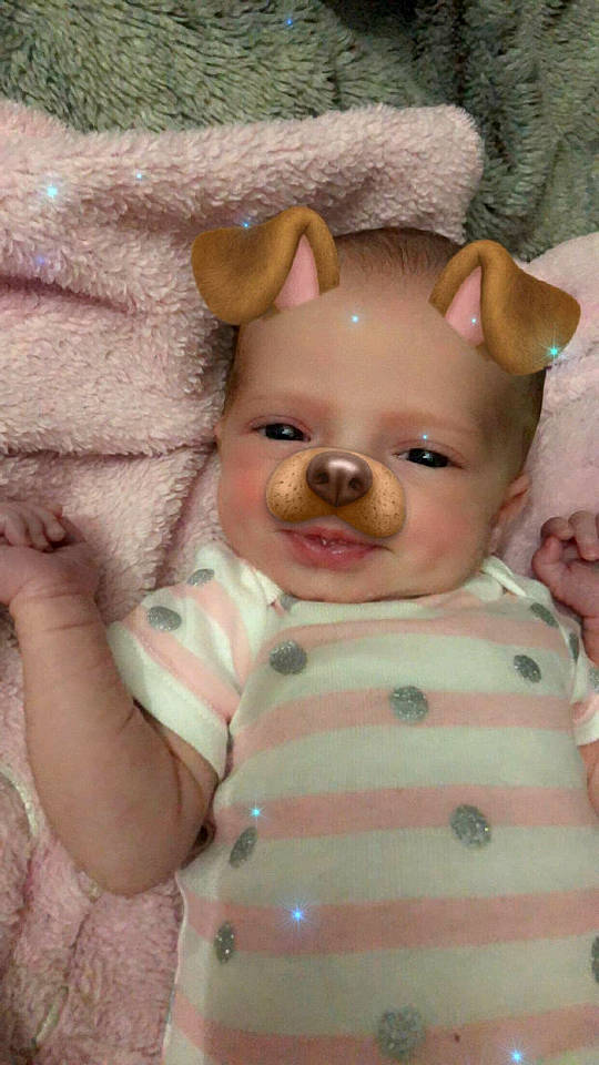 Libby joined the competition — help win amazing prizes! baby, canidae, carnivore, cheek, child, companion_dog, dog, dog_breed, ear, fawn, non_sporting_group, nose, person, pink, puppy, puppy_love, skin, snout, toy_bulldog