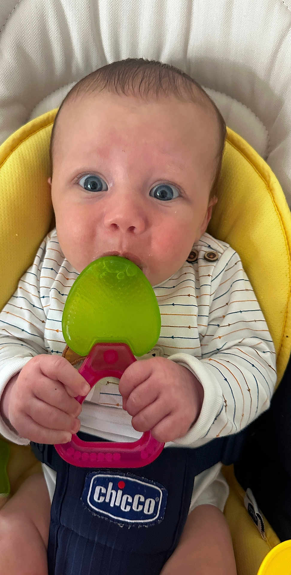 Noah participe au concours pour gagner de l'argent avec cette photo : baby, teether, blue_eyes, hands, yellow_seat, striped_onesie, infant, closeup, cute, child, chicco_brand, baby_toy, expression, grip, skin, young_child, indoor, portrait, seat_belt, playtime