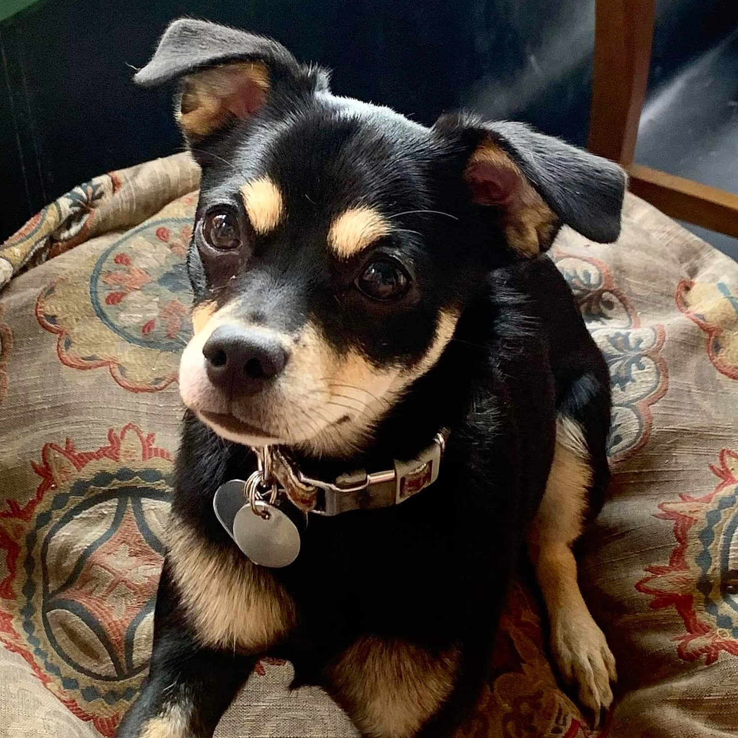Ayla