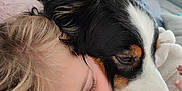 Pato participe au concours pour gagner de l'argent avec cette photo : child, dog, couch, blanket, snuggling, close_up, cozy, sleepy, blonde_hair, black_and_white_dog, indoor, soft_texture, affection, friendship, relaxing, warmth, comfort, cute, pet, resting