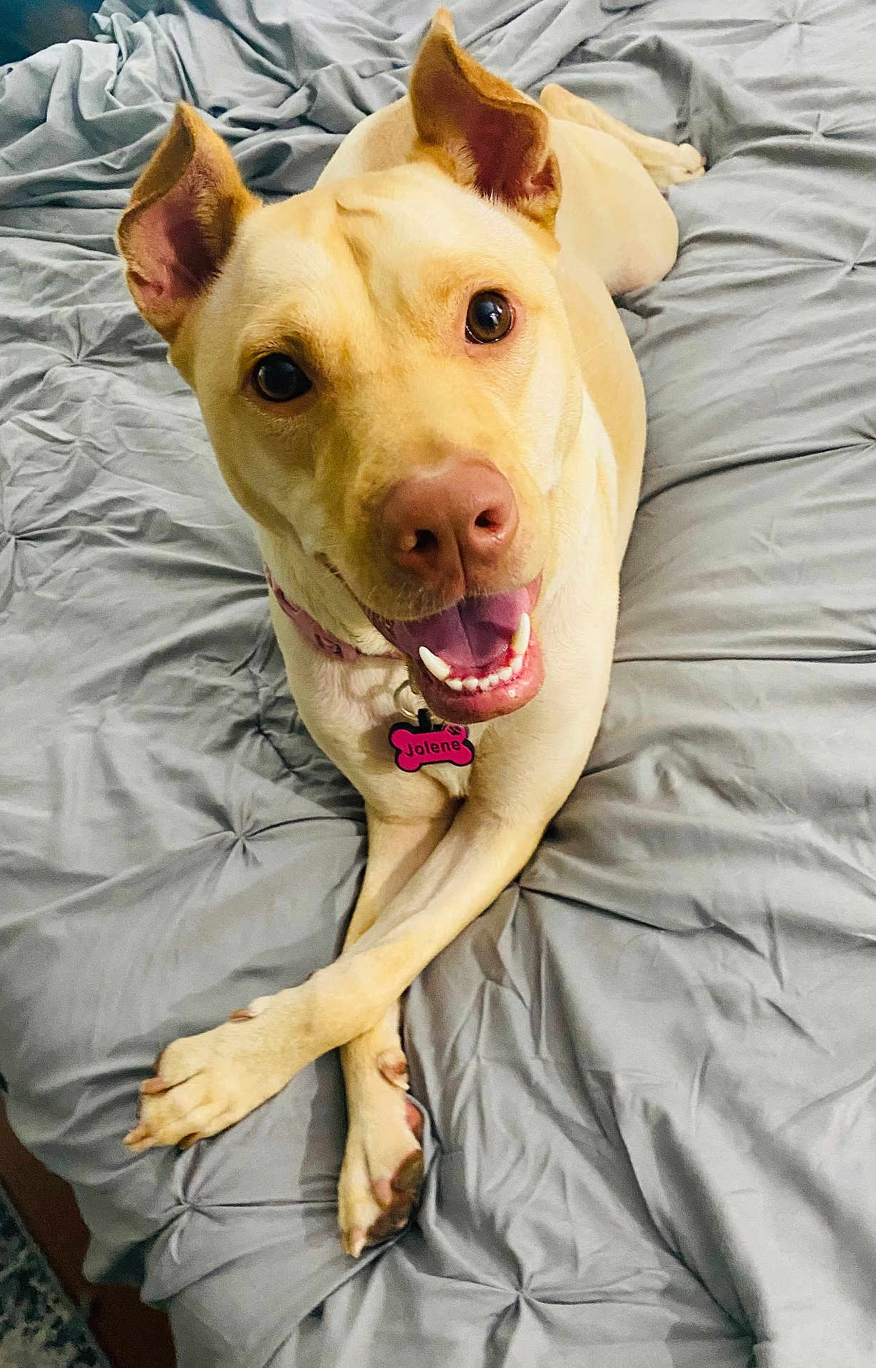Jolene