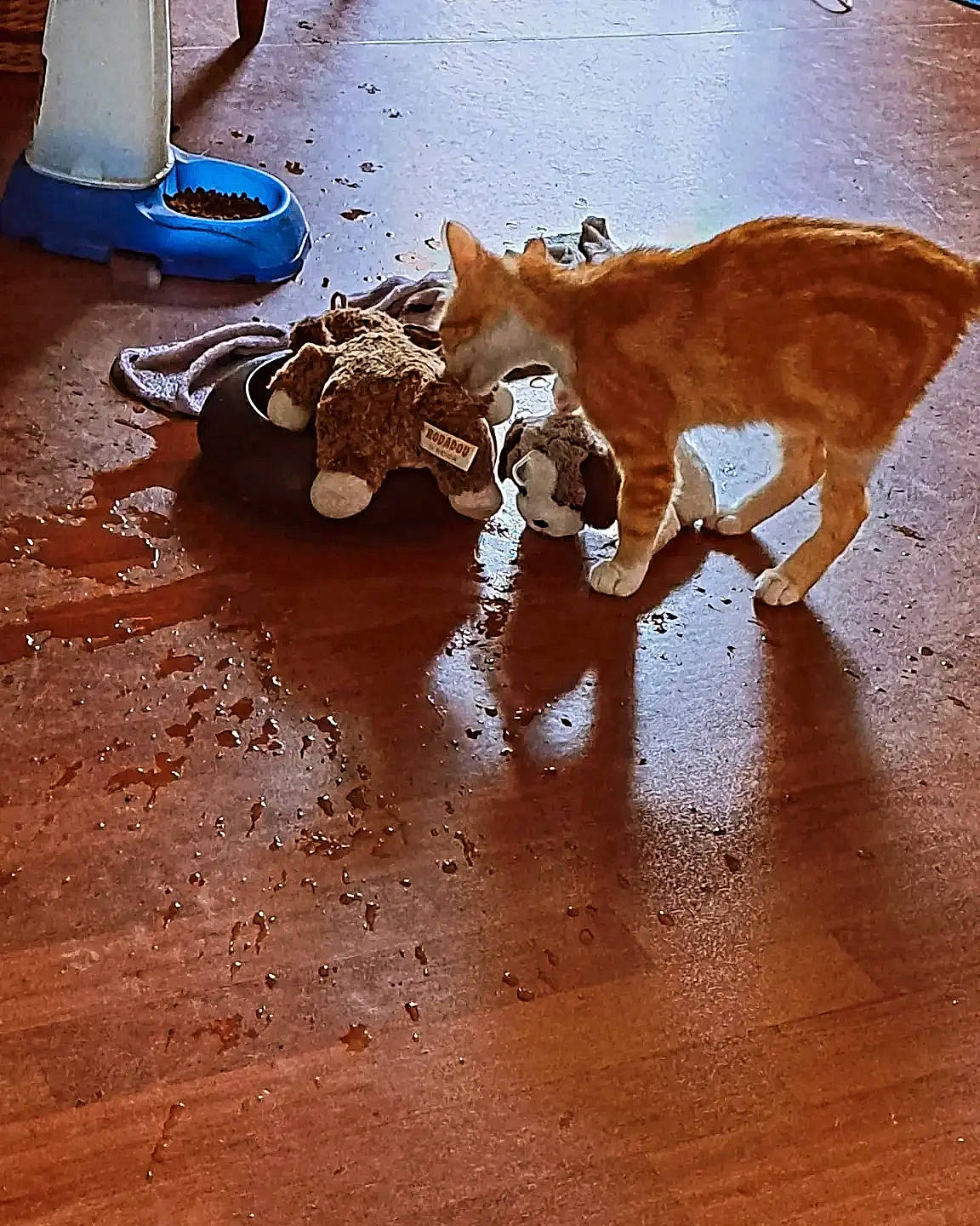 Whyzbutt participe au concours pour gagner de l'argent avec cette photo : art, brown, carnivore, companion_dog, dog, dog_breed, fawn, felidae, floor, flooring, hardwood, liver, shadow, small_to_medium_sized_cats, tail, terrestrial_animal, whiskers, wood, wood_flooring, working_animal