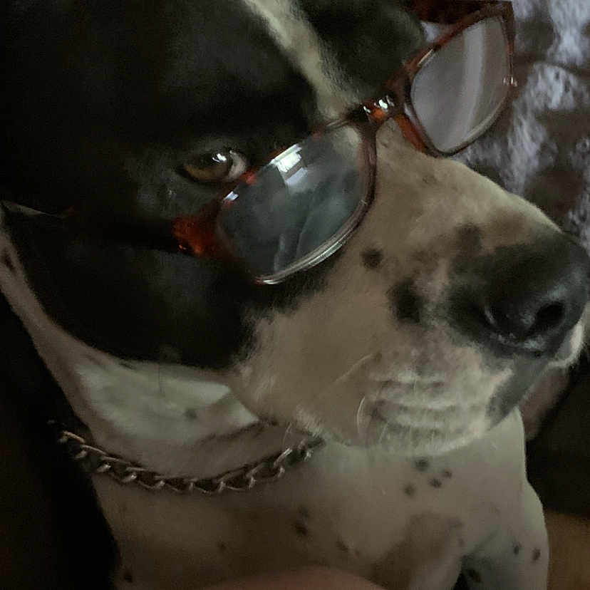 Buster