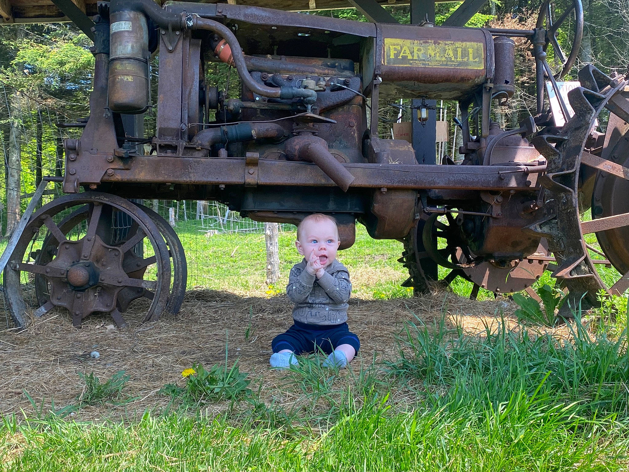 Koleman is registered to the contest to win money with this photo: agricultural_machinery, auto_part, automotive_tire, automotive_wheel_system, grass, grassland, land_vehicle, locomotive, machine, mode_of_transport, motor_vehicle, person, plant, rolling, rolling_stock, surprise, toddler, train, tree, vehicle