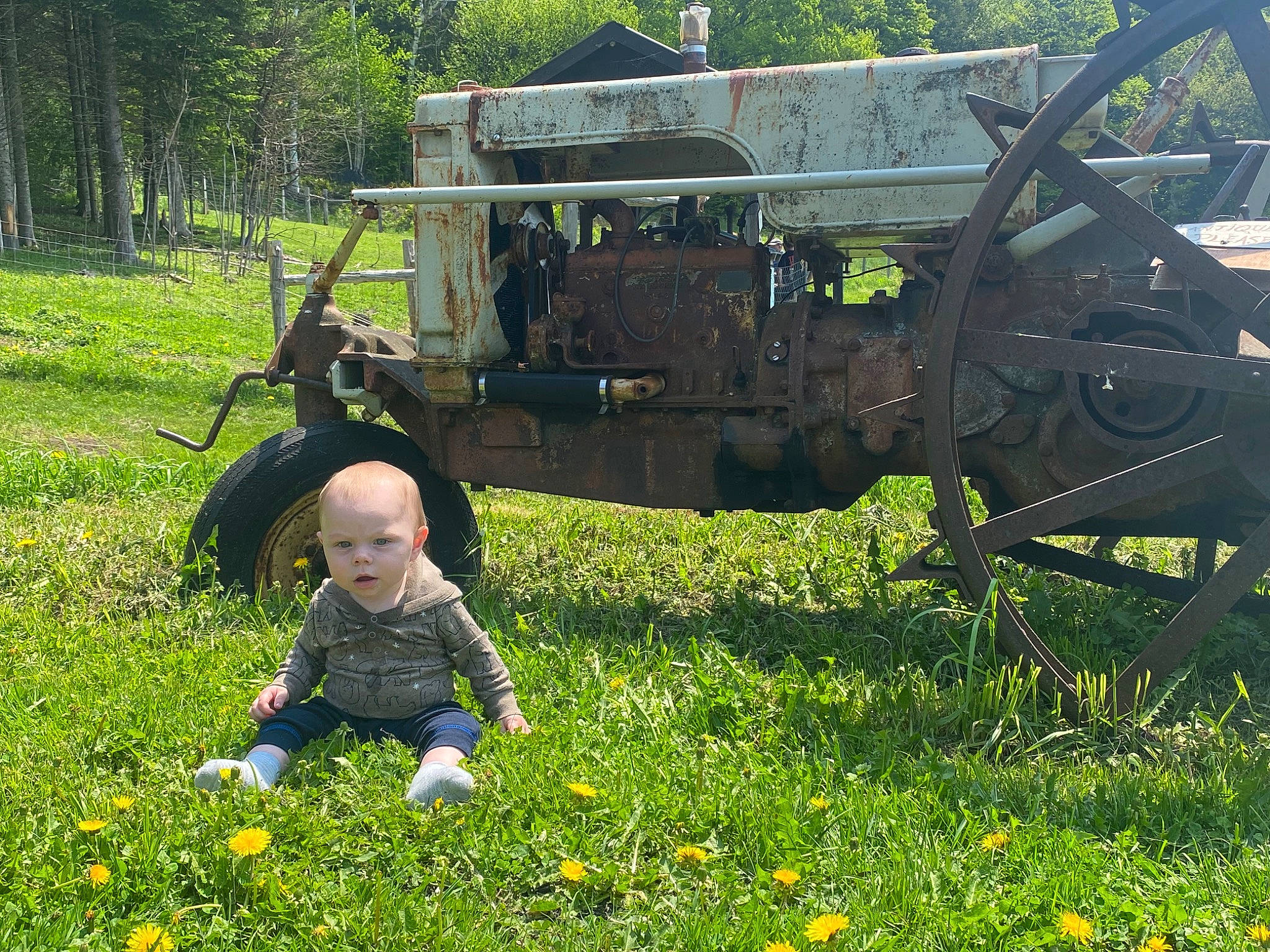 Koleman is registered to the contest to win money with this photo: automotive_tire, camouflage, flower, grass, grassland, groundcover, lawn, marines, military_camouflage, military_person, military_uniform, motor_vehicle, people_in_nature, person, plant, rural_area, soldier, tire, tree, vehicle