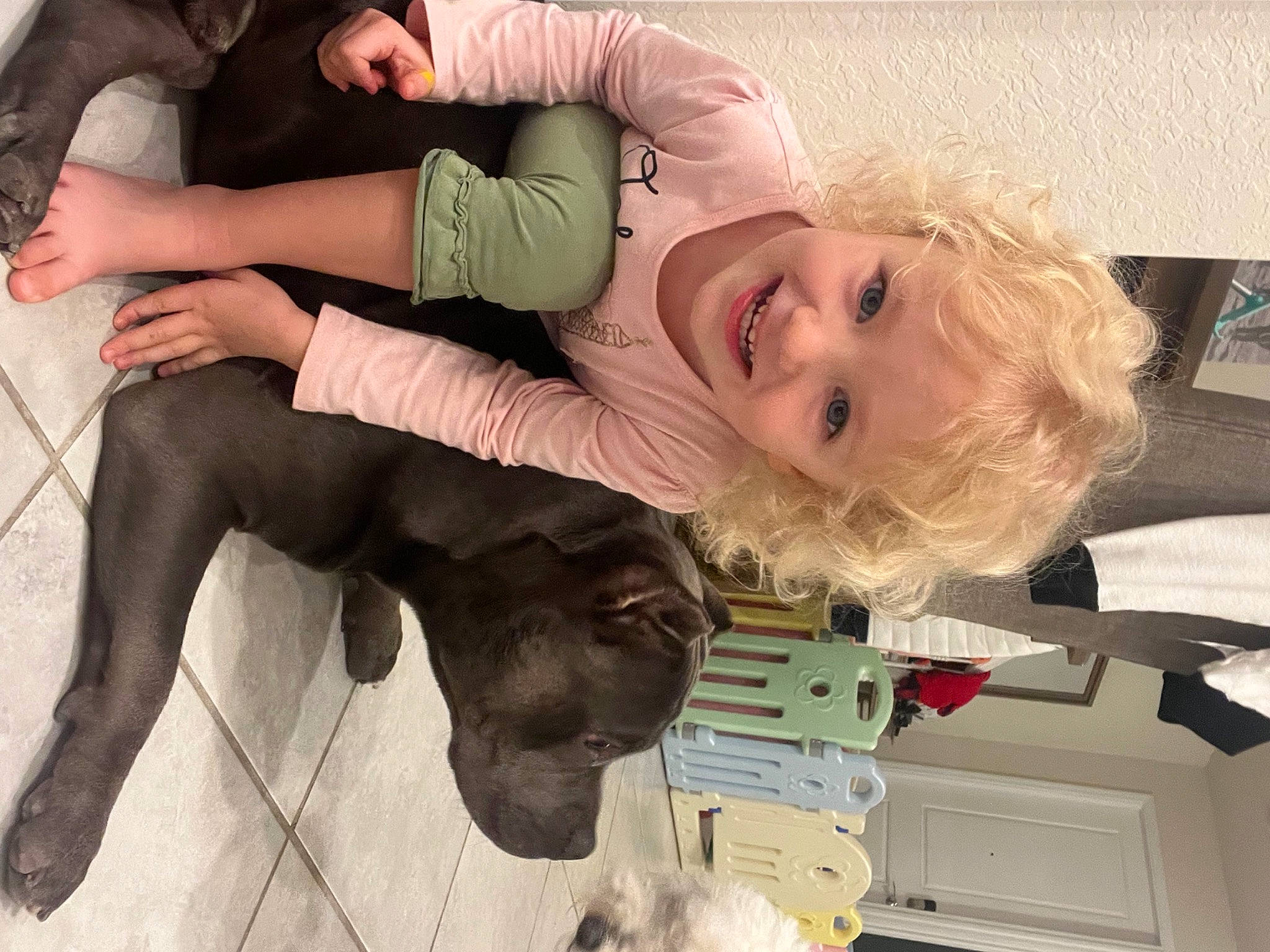 Nicole joined the competition — help win amazing prizes! baby, child, companion_dog, dog, dog_breed, foot, fun, fur, gesture, happy, human_leg, joy, knee, lap, leisure, person, sitting, smile, suit, t_shirt