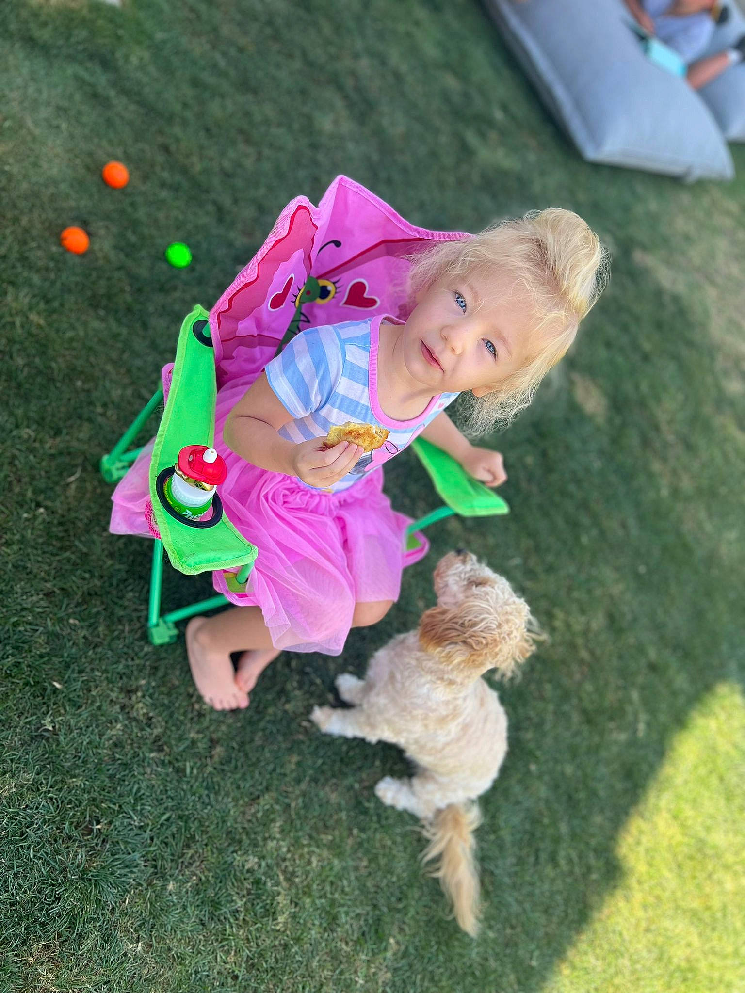 Nicole joined the competition — help win amazing prizes! baby_toddler_clothing, child, companion_dog, dog_breed, fawn, fun, grass, grass_family, happy, lawn, leisure, magenta, mammal, people_in_nature, person, plant, play, toddler, toy, toy_dog