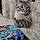 Casper