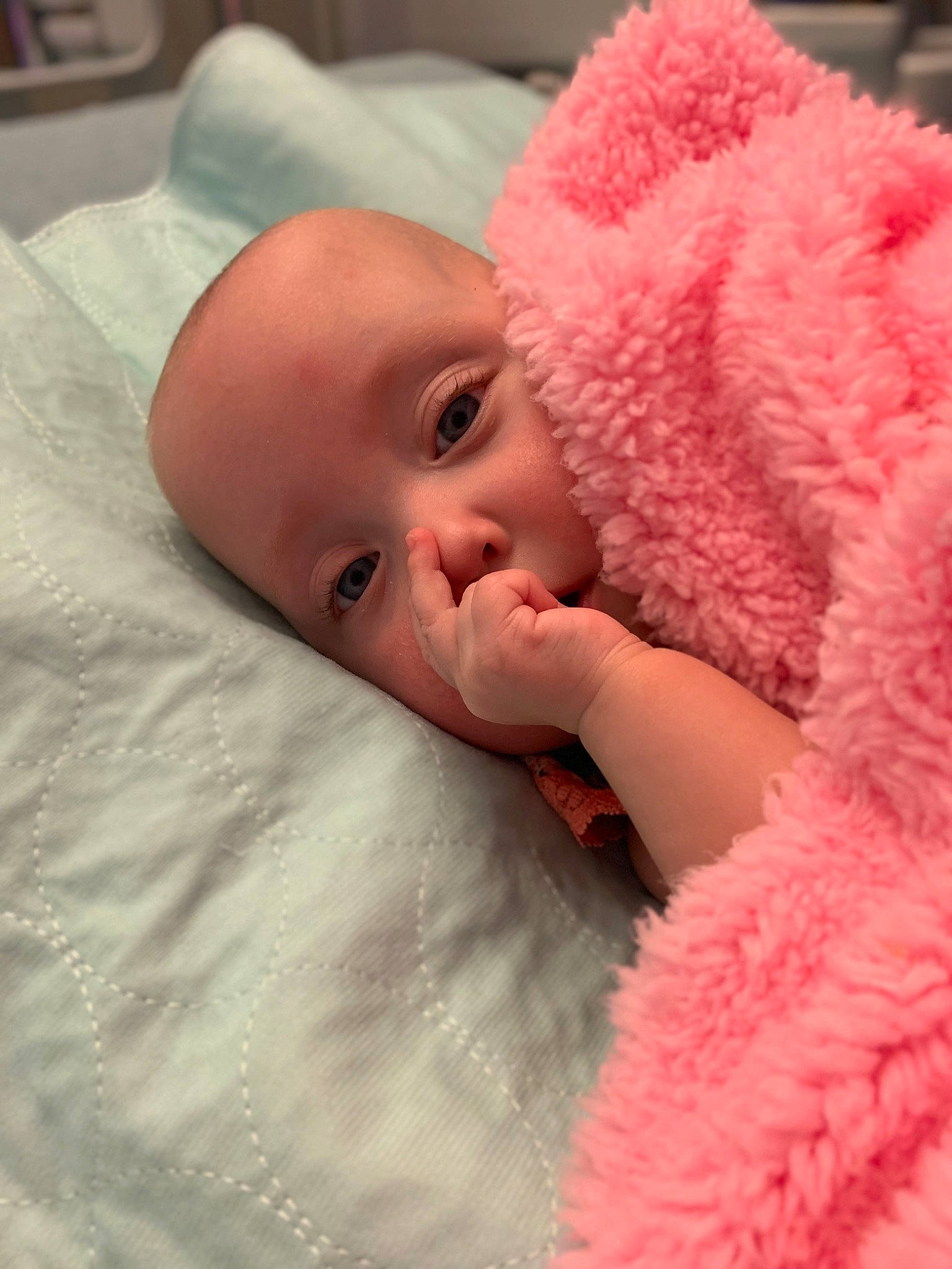 Aspen joined the competition — help win amazing prizes! baby, blanket, cheek, child, eye, face, head, lip, mouth, nose, person, pink, skin, toddler