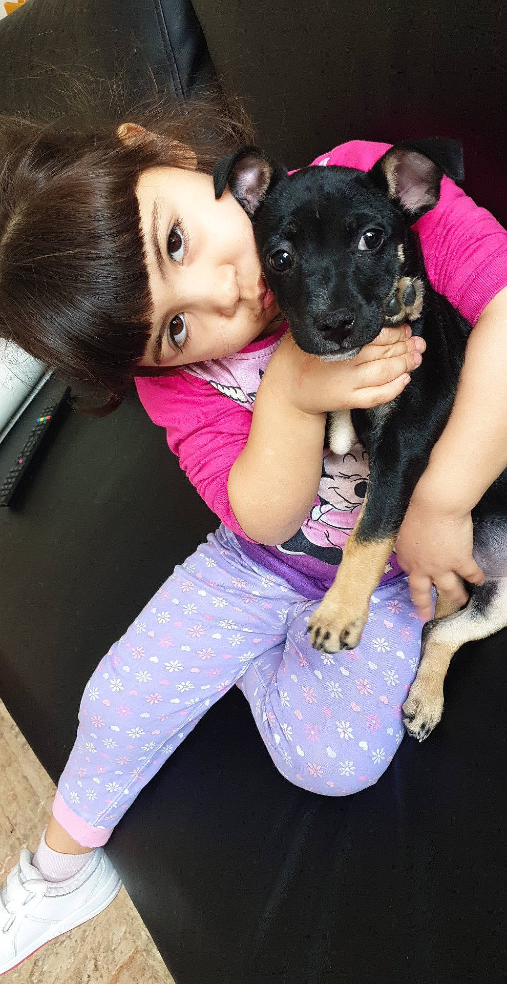 Clara participe au concours pour gagner de l'argent avec cette photo : canidae, carnivore, companion_dog, dog, dog_breed, fawn, feist, mammal, non_sporting_group, person, pink, puppy, puppy_love, sporting_group, vertebrate