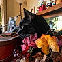 black_cat, cat, autumn_leaves, berries, indoor, decor, figurines, table, lamp, window, curious, pet, animal, whiskers, collar, furniture, reflection, still_life, close_up, cozy