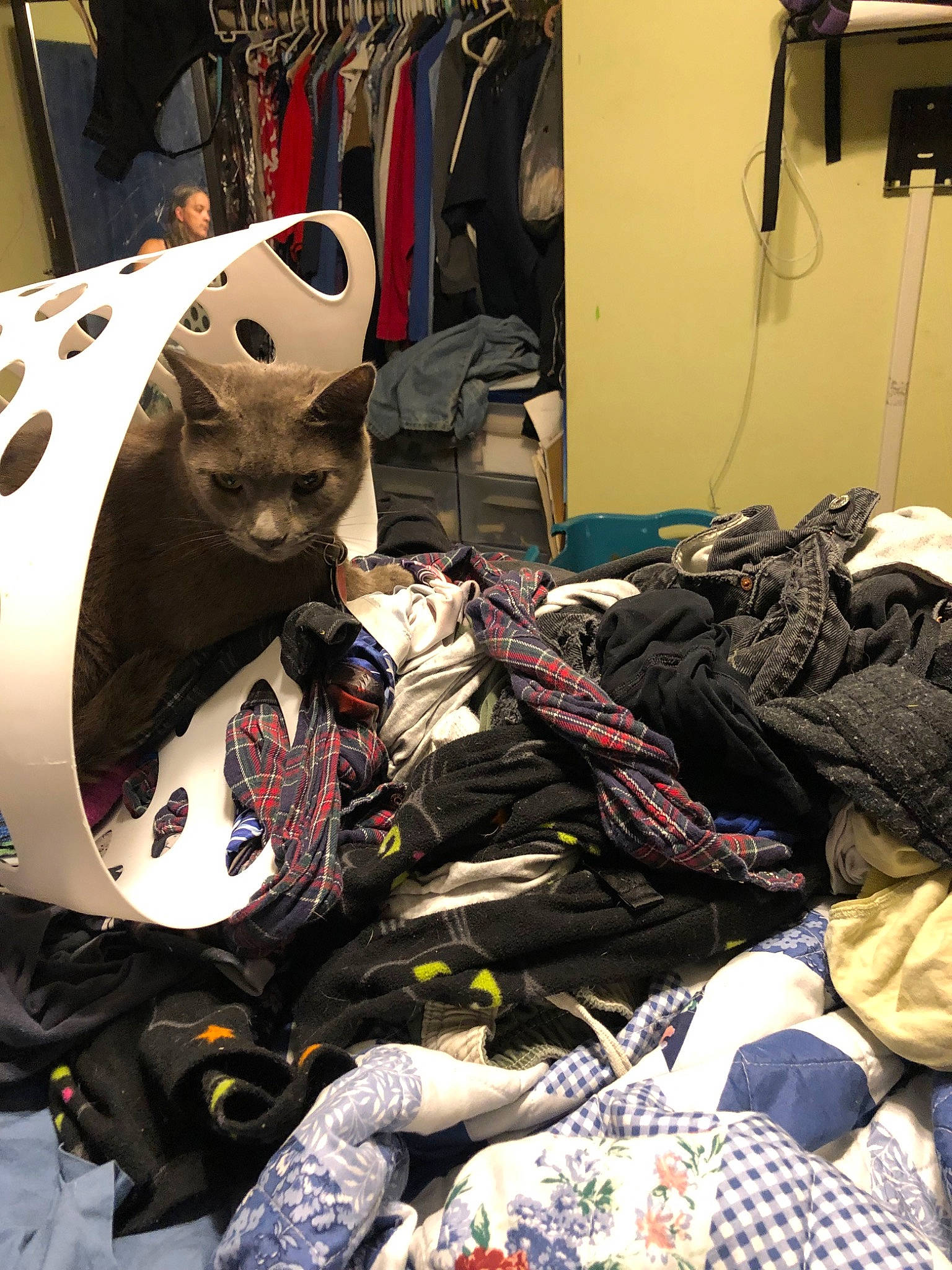 Hamper Donut joined the competition — help win amazing prizes! costume, fictional_character, helmet, personal_protective_equipment, room