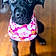 Roxy