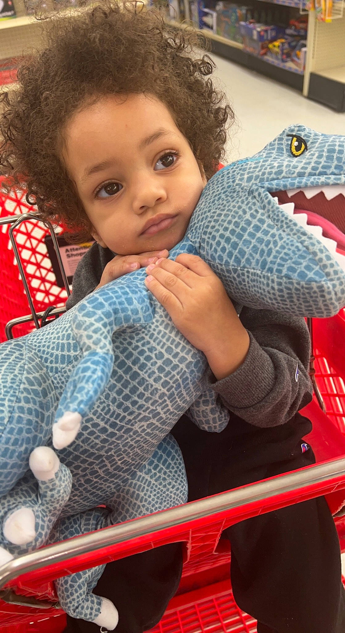 Amairus joined the competition — help win amazing prizes! baby_products, baby_toddler_clothing, baby_toys, carmine, cheek, child, dinosaur, electric_blue, fun, leisure, organ, pattern, person, photograph, play, sitting, sleeve, snapshot, thumb, toddler