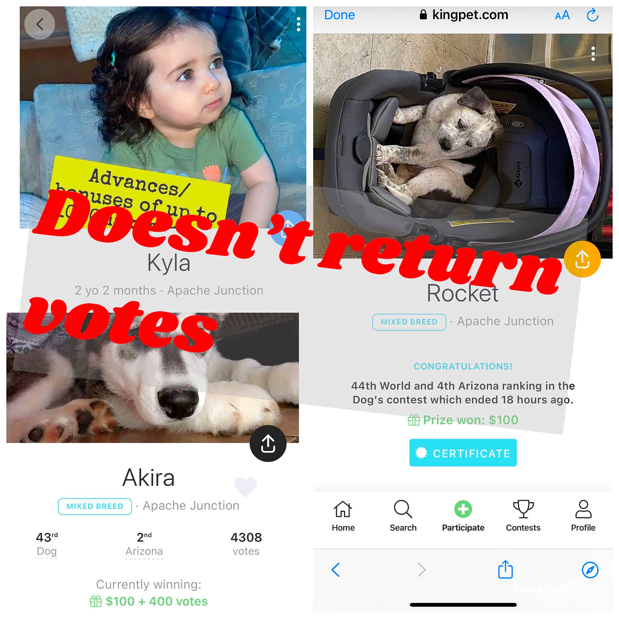 Avery is registered to the contest to win money with this photo: advertising, audio_equipment, automotive_tire, brand, companion_dog, eyelash, font, happy, media, multimedia, paw, photo_caption, photograph, photography, product, publication, room, screenshot, snapshot, toddler