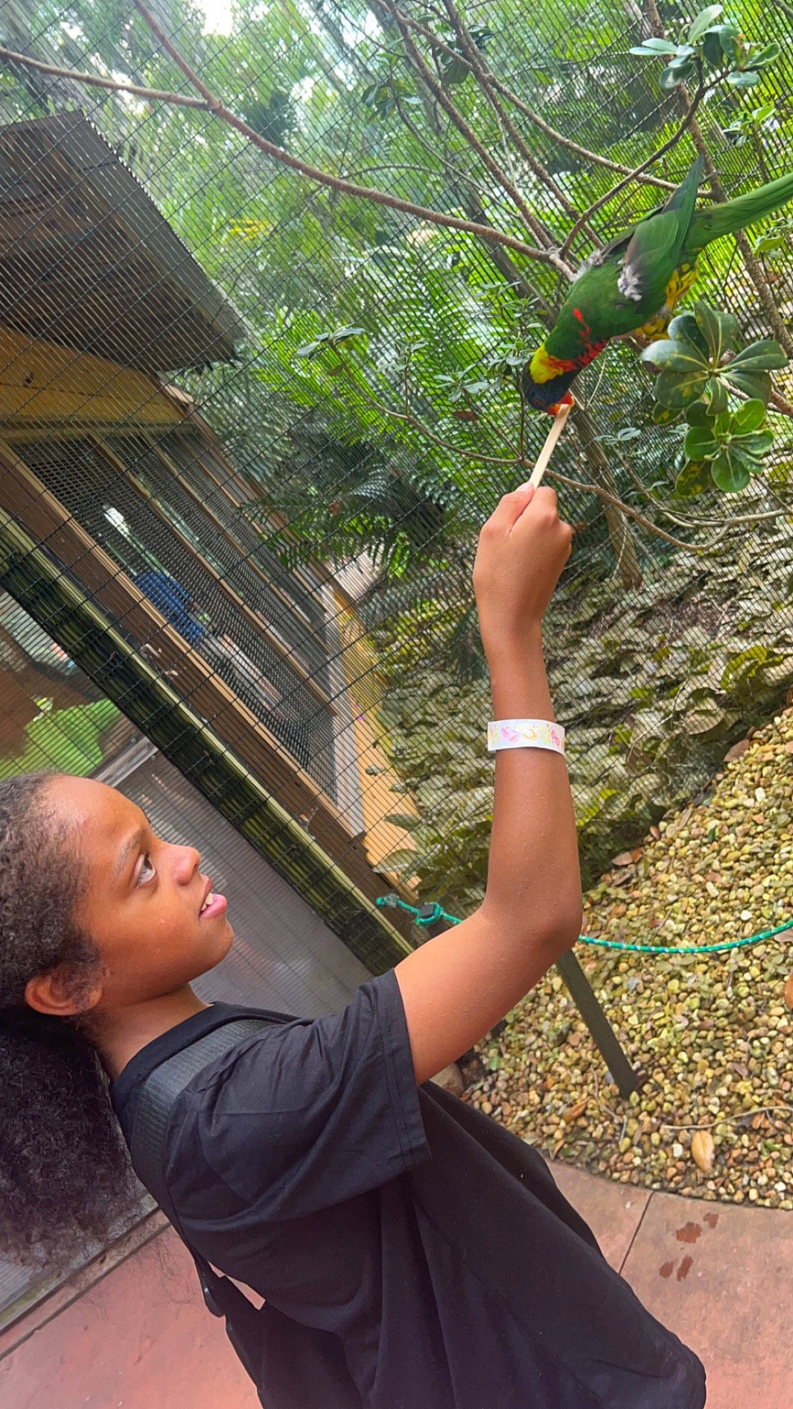 Amar is registered to the contest to win money with this photo: botany, elbow, forest, fun, gesture, grass, happy, jungle, leaf, leisure, people_in_nature, person, plant, recreation, shade, soil, t_shirt, travel, tree, vacation