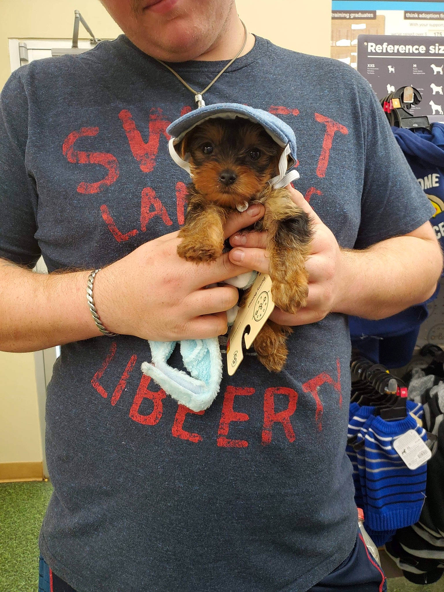 Buck joined the competition — help win amazing prizes! border_terrier, canidae, carnivore, companion_dog, dog, dog_breed, kinkajou, puppy, puppy_love, rottweiler