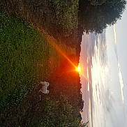 Kai is registered to the contest to win money with this photo: astronomical_object, atmosphere, atmospheric_phenomenon, cloud, heat, horizon, landscape, lens_flare, natural_landscape, plant, sky, sun, sunlight, sunrise, sunset, tints_and_shades, tree, water, wood, world
