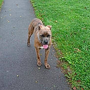 Ita a rejoint le concours — aidez-le/la à gagner de superbes lots !