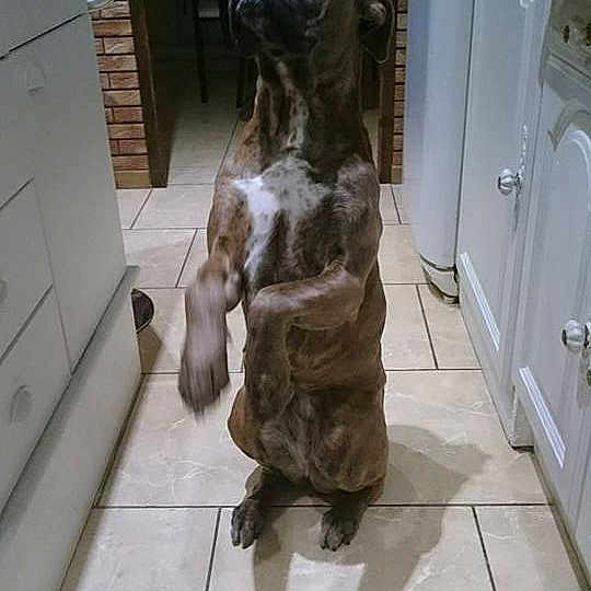 Ita