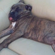 Ita a rejoint le concours — aidez-le/la à gagner de superbes lots !