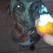 Ita participe au concours pour gagner de l'argent avec cette photo :