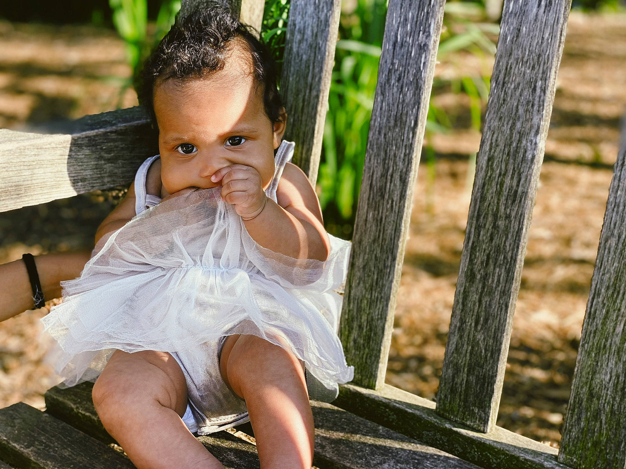 Anaiyah joined the competition — help win amazing prizes! child, dress, eye, fence, flash_photography, forest, fun, grass, hair, happy, head, leg, leisure, people_in_nature, person, plant, recreation, sitting, skin, toddler