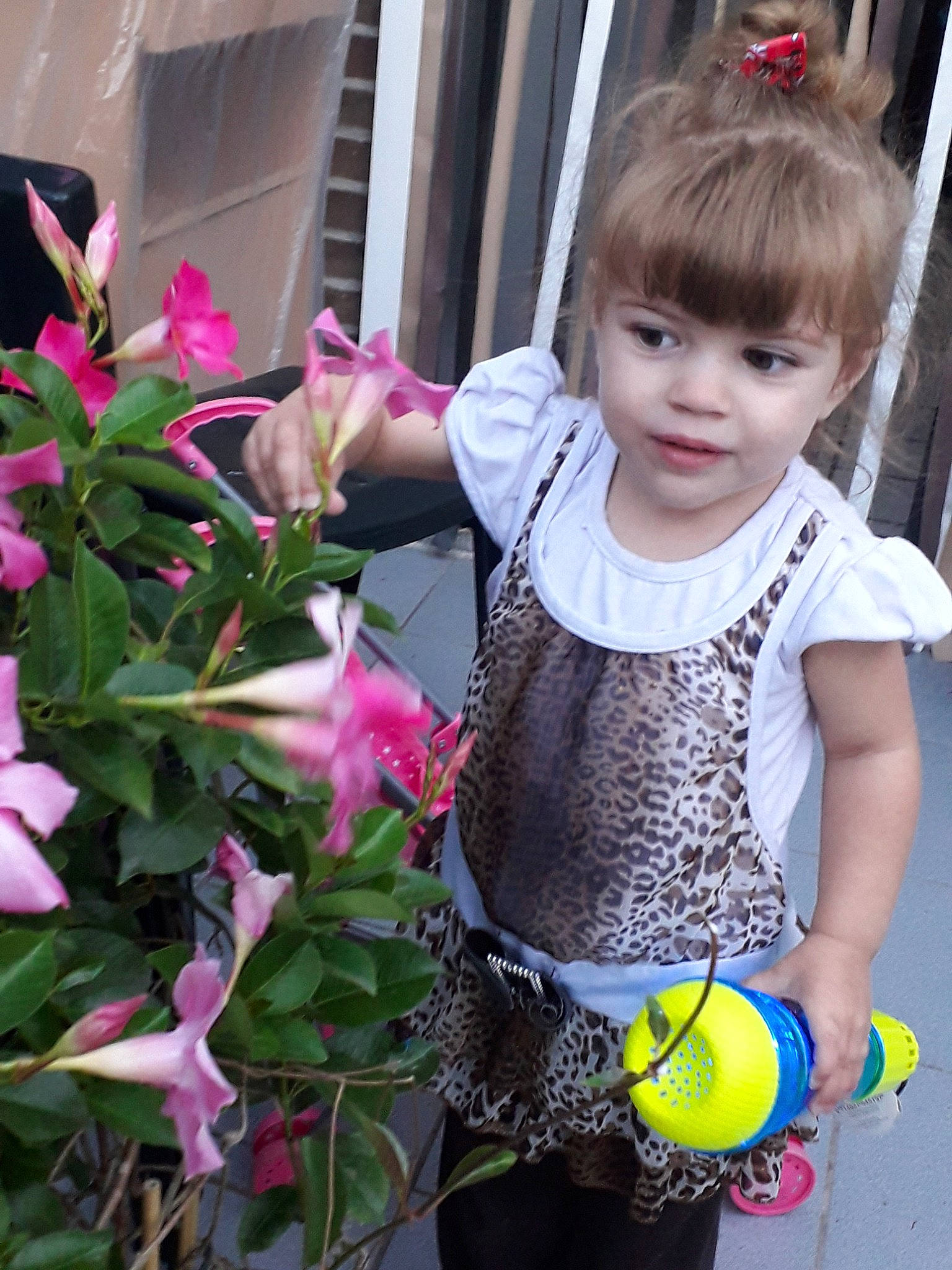 Kyra participe au concours pour gagner de l'argent avec cette photo : child, flower, girl, person, pink, plant, product, toddler