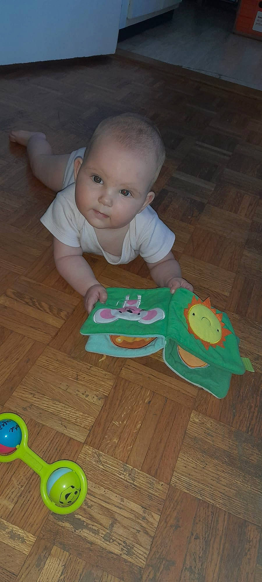 Lucie participe au concours pour gagner de l'argent avec cette photo : baby, baby_products, baby_toddler_clothing, baby_toys, cheek, child, crawling, floor, flooring, fun, grass, happy, hardwood, person, play, room, sitting, smile, toddler, tummy_time