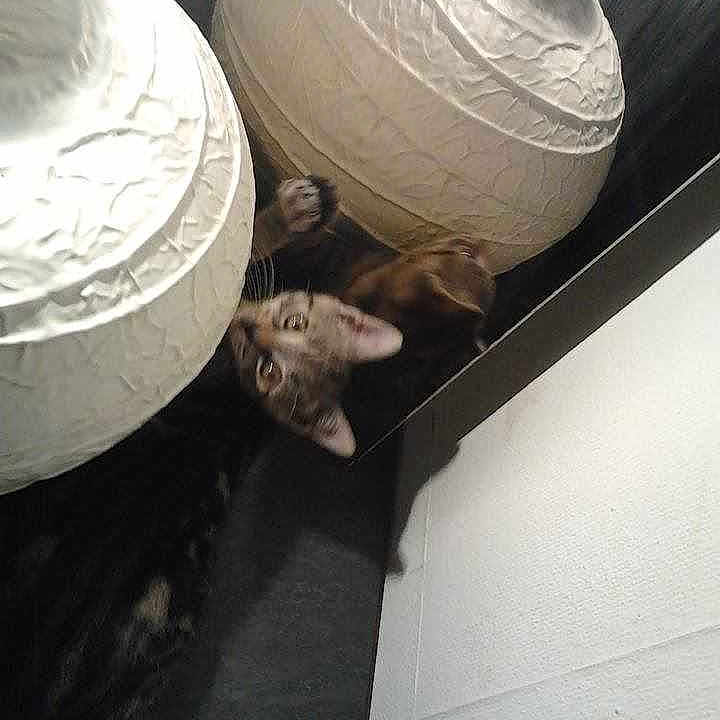 Doudou participe au concours pour gagner de l'argent avec cette photo :