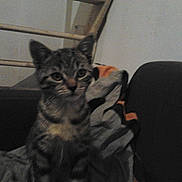 Doudou a rejoint le concours — aidez-le/la à gagner de superbes lots !